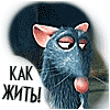 Аватар для tara